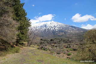 nte Egitto-29-04-2023 12-57-02